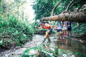 BIB: 
                            <button type="button" onclick="openModal(25451575)" class="btn btn-primary btn-sm float-right btn-popup" data-toggle="modal" data-target=".modal-high-quality">
                        <i class="fas fa-shopping-cart"></i> Add to Cart
                    </button>
                                            <button type="button" onclick="isThisMe(25451575, true)" class="btn btn-success btn-sm float-right btn-popup btn-isme hidden" data-toggle="tooltip" data-placement="bottom" title="นี่คือรูปของคุณใช่ไหม คลิกที่นี่เพื่อเอาเข้าอัลบั้ม">
                        <i class="fas fa-plus"></i> Add to album
                    </button>
                    <button type="button" onclick="isThisMe(25451575, false)" class="btn btn-warning btn-sm float-right btn-popup btn-isnotme hidden">
                        <i class="fas fa-ban"></i> Remove from album
                    </button>